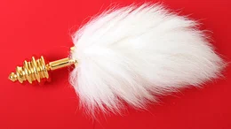 Analna čaura rebrasta sa repom