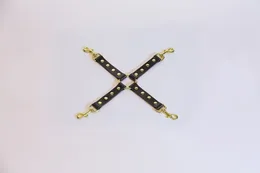 Fixiranje 4 karabina u Crnoj kolici