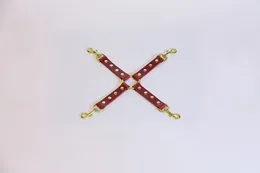 Fixiranje 4 Karabin crvene boje