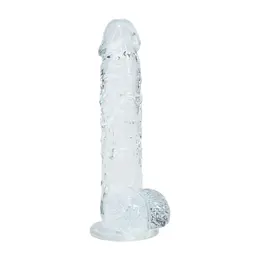 REALROCK Crystal Clear anatomski model od 12.7 cm sa vakuumskim postoljem, providan