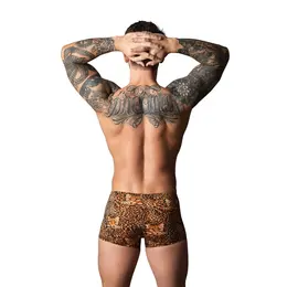 Male Power XL Performance šorts sa crnim silikonskim prstenom, braon leopard dezen