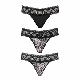 Underneath Jane 3-Pack Thong Set | Comfortable Stretch Material L/XL