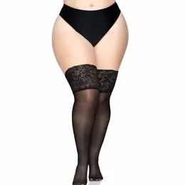 Leg Avenue Plus Size Sheer Thigh Highs with Silicone Lace Top, Black