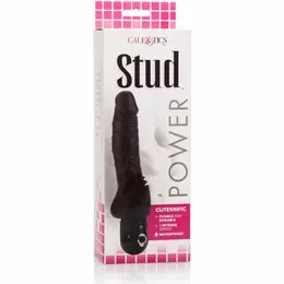 CalExotics Power Stud Cliterrific Crni Intimni masažer 19cm