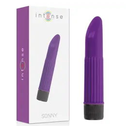 INTENSE Sonny Ljubičasti Kompaktni Masažer ABS 13.5cm Snažna Vibracija