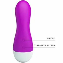 Pretty Love Ian Intimate Silicone Stimulator with 30 Modes USB Purple