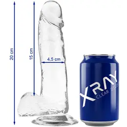 XRAY Prozirni 20cm Anatomski Model sa Bazom, Transparentni Jelly Materijal