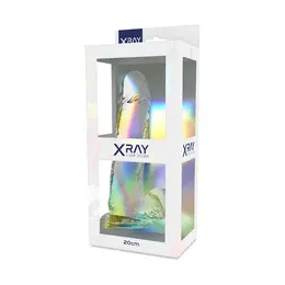 XRAY Prozirni 20cm Anatomski Model sa Bazom, Transparentni Jelly Materijal