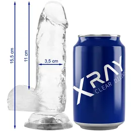 XRAY X Ray Clear 15.5 cm Transparent Intimate Model with Suction Base