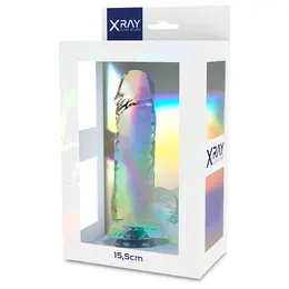 XRAY X Ray Clear 15.5 cm Transparent Intimate Model with Suction Base