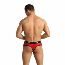 Anais Men Brave Red Lace Thong L - Floral Pattern, Comfort Fit