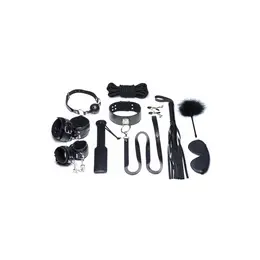XR Brands Master Series deluxe BDSM komplet od 10 komada, crni