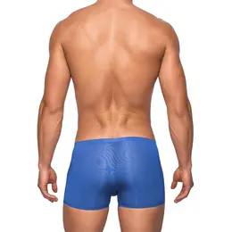 Male Power Seamless Sleek Mini Short L Black - Low-Rise Comfort Fit