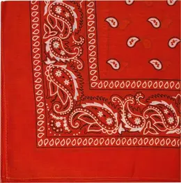 HankyCode Classic Bandana Orange - Signature Colorful Accessory
