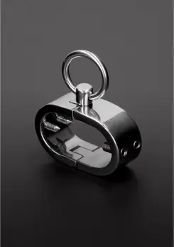 Master Series Oval Stainless Steel Spiked Restraint Ring 8714273941879