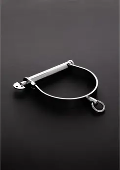 Kiotos Steel Darby Style Stainless Steel Collar Medium Size