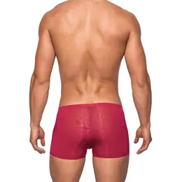 Male Power Seamless Sleek Mini Shorts M Red Wine Low-Rise Design