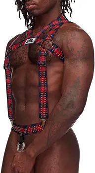 Male Power Elastic Harness Red - Adjustable Straps & Metal Studs, One Size