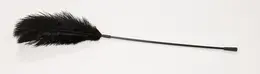Bad Kitty Crni Perjani Štapić 38cm - Elegantan Dodatak