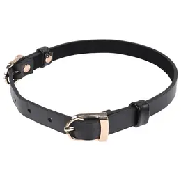 Sportsheets S&M Double Buckle Day Collar Black Adjustable Gold Detail