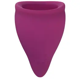 Fun Factory Fun Cup Size B Grape - Large Reusable Menstrual Cup Set