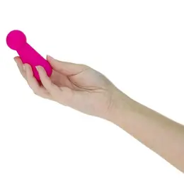 Swan Mini Swan Pawn Compact Vibrating Device, Silicone, USB, Pink