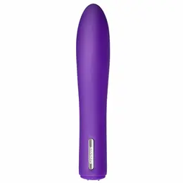 Nalone Iris Bullet Vibrator Purple 20 Modes Compact Silicone USB