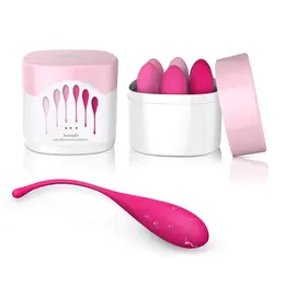 FeelzToys FemmeFit Pelvic Floor Muscle Trainer Set 6 Weights Silicone