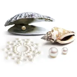 Bijoux Indiscrets Mimi Pearl Crystal Body Decoration Set 2 pcs