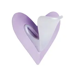 Ladyshape Heart Bikini Shaping Tool Set with Precision Razors