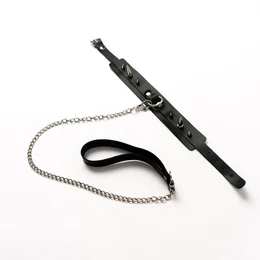 Ogrlica sa šiljastim povodcem