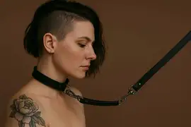 Velika rasprodaja u kategoriji Chokeri i povoci!