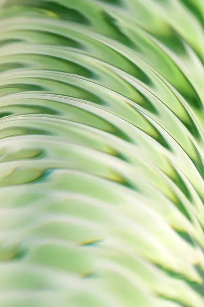 Nerealni Dildo Sekus Glass, staklo, prozirno, 16,5 cm