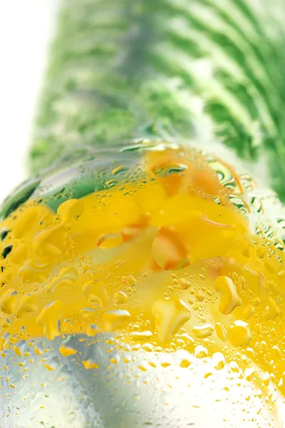 Nerealni Dildo Sekus Glass, staklo, prozirno, 16,5 cm