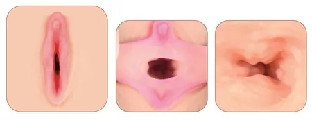 Masturbator realno vagina KOKOS ELEGANCE 007