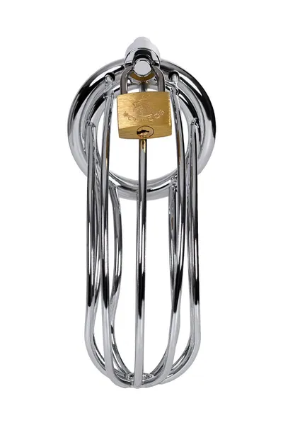 Pojas odanosti muški Metal bi TOIFA kavez, srebrni