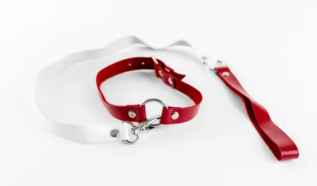 Beli i crveni čoker od prave kože sa povodcem