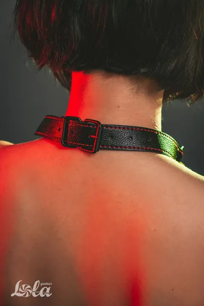 Geg party hard infatuation