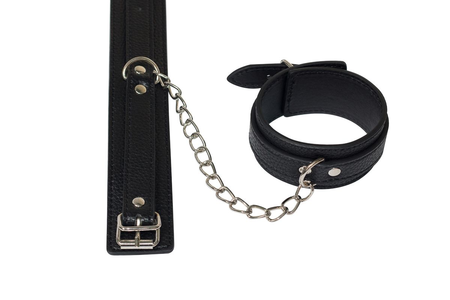 Party hard dreamer