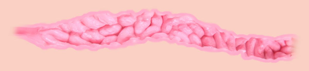 Valentina, masturbator 3D vagina, anus i po, dvostruki sloj bez vibracija