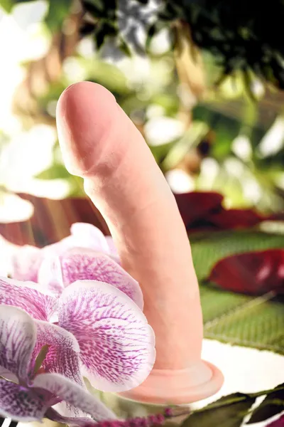 Realstick Elite Kurt realistični vibrator, TPR, telesni, 20 cm