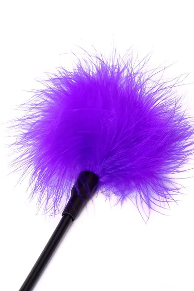 Tickle Toifa Theatre, plastika, pero, ljubičasta 41.5 cm