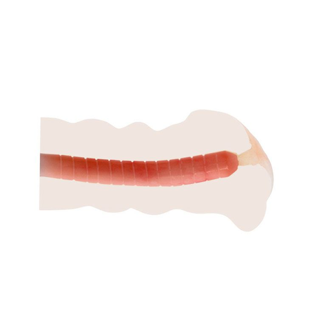 Masturbator sa vibracijom BM-009132H