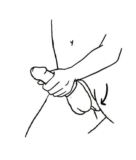 Benedict perinealni vibracioni stimulator sa dvostrukim prstenom