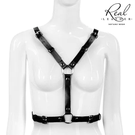 PORTUPEJA sa ART krilima. NTB-80737