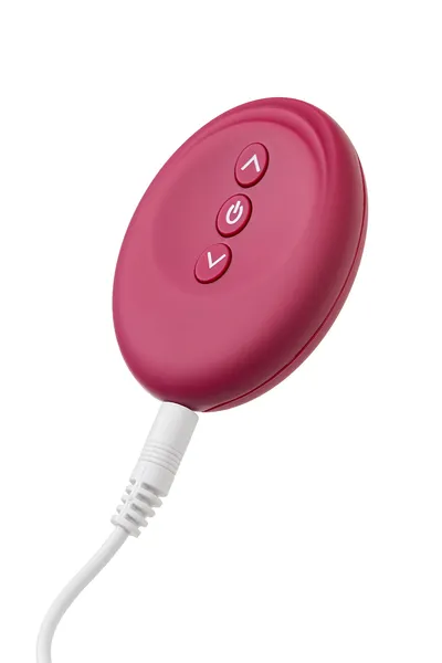 Multifunkcionalni vibrator Ja EROINA Caberna, silikonski, burgundija, 20 cm