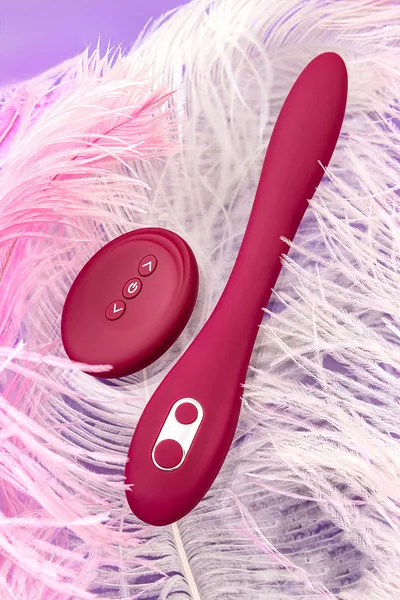 Multifunkcionalni vibrator Ja EROINA Caberna, silikonski, burgundija, 20 cm