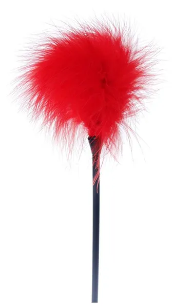 Crvena jakna za ljubavne igre .