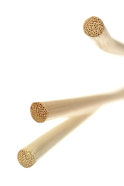 Bič od loze TOYFA Theatre, bež