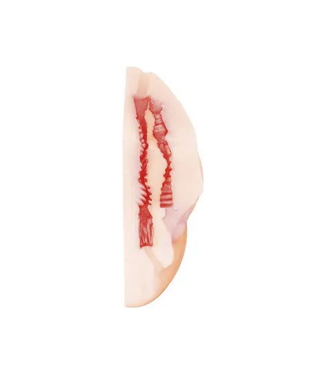 Masturbator Satisfaction Gorgeous 2101-07Lola